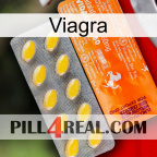 Viagra new05